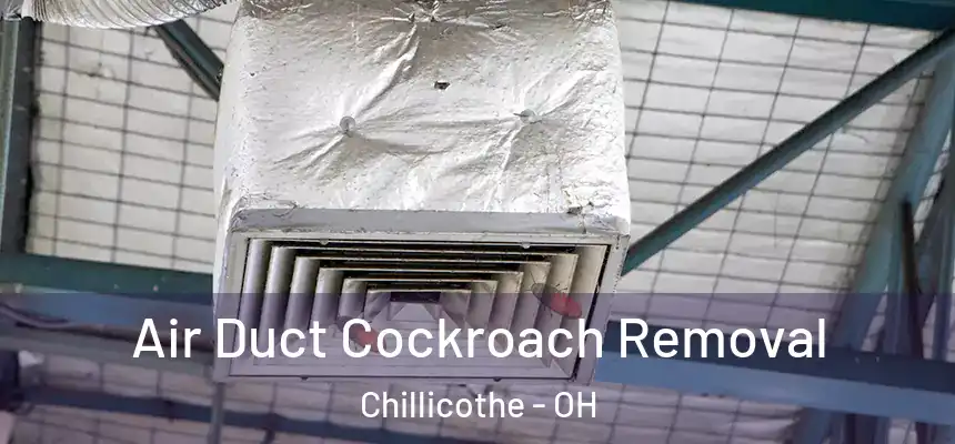 Air Duct Cockroach Removal Chillicothe - OH