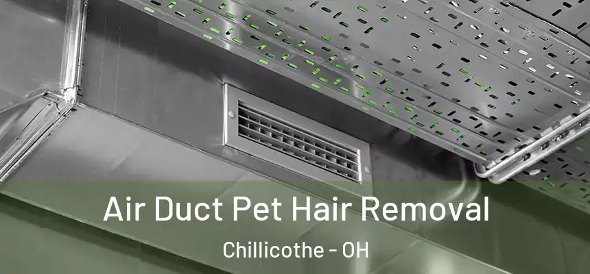 Air Duct Pet Hair Removal Chillicothe - OH