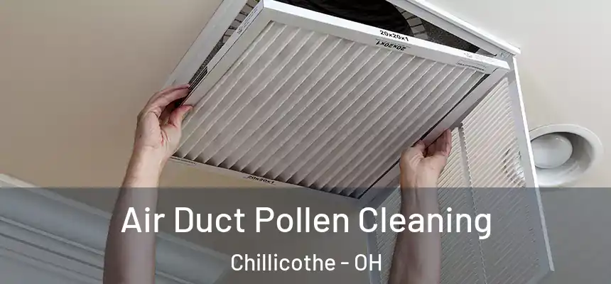 Air Duct Pollen Cleaning Chillicothe - OH