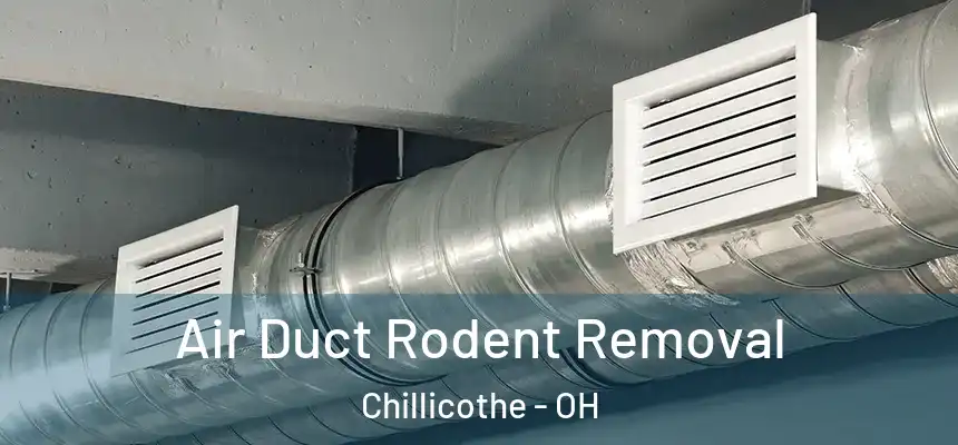  Air Duct Rodent Removal Chillicothe - OH