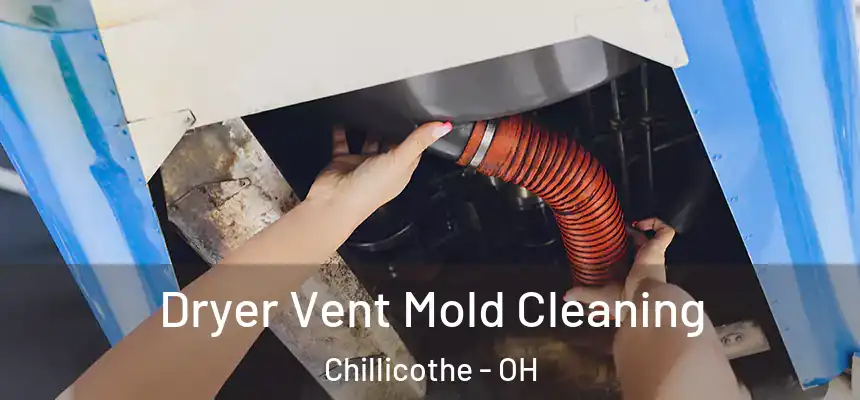 Dryer Vent Mold Cleaning Chillicothe - OH