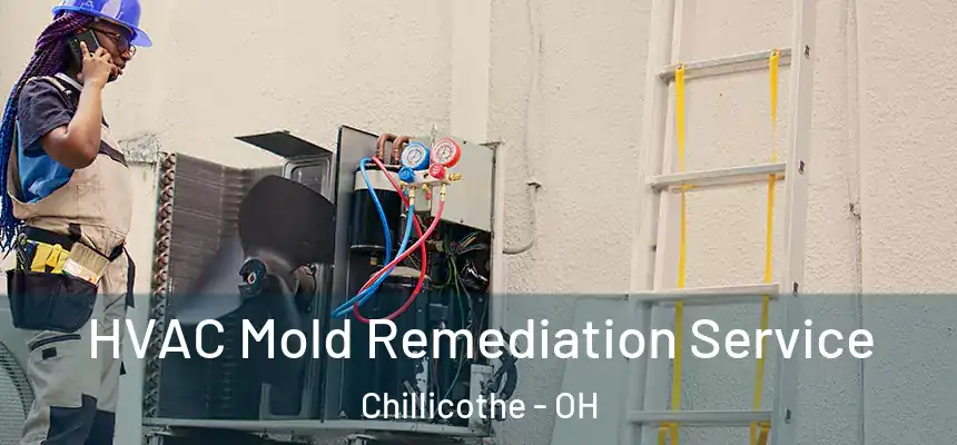  HVAC Mold Remediation Service Chillicothe - OH