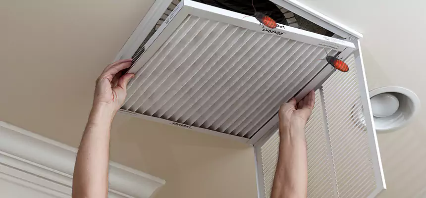 Our Insect Removal from Air Ducts Services in Chillicothe, OH