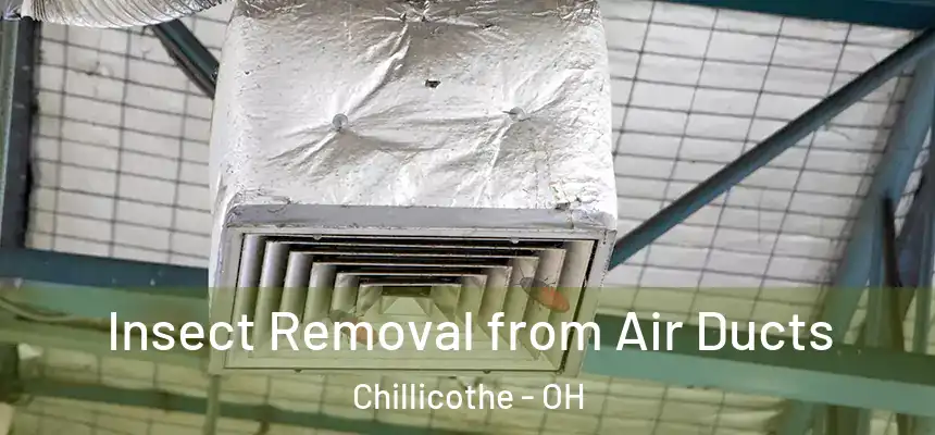  Insect Removal from Air Ducts Chillicothe - OH