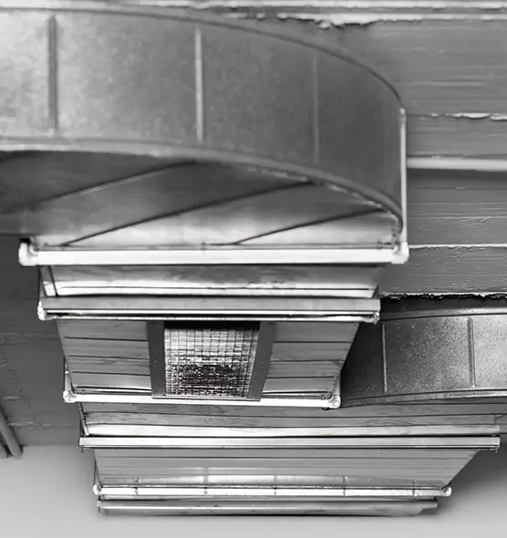 Professional Air Duct Pest Removal in Chillicothe, OH