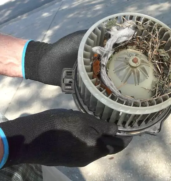 About Air Duct Rat Removal in Chillicothe, OH