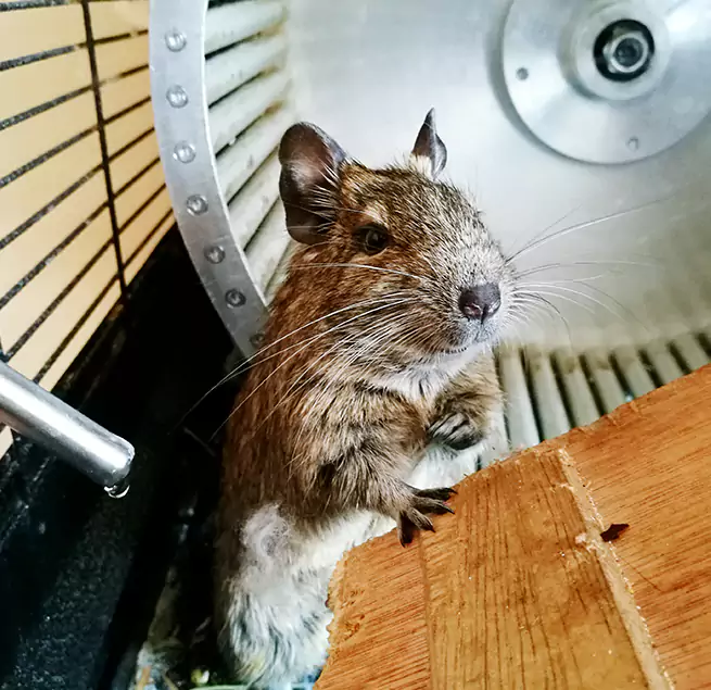 Why Homeowners & Businesses Trust Us Chillicothe, OH